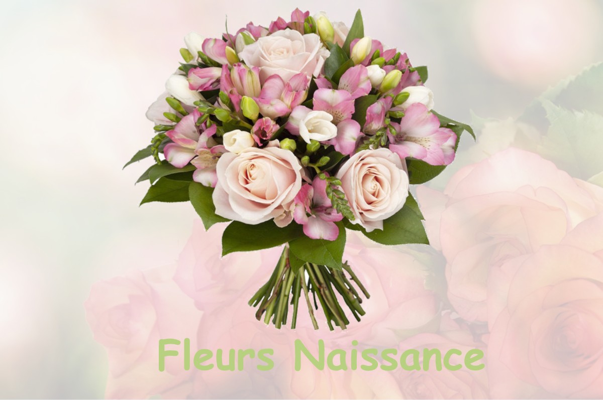 fleurs naissance HAUTOT-L-AUVRAY